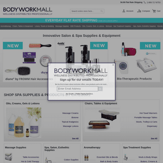 A complete backup of bodyworkmall.com