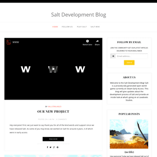 Salt Development Blog