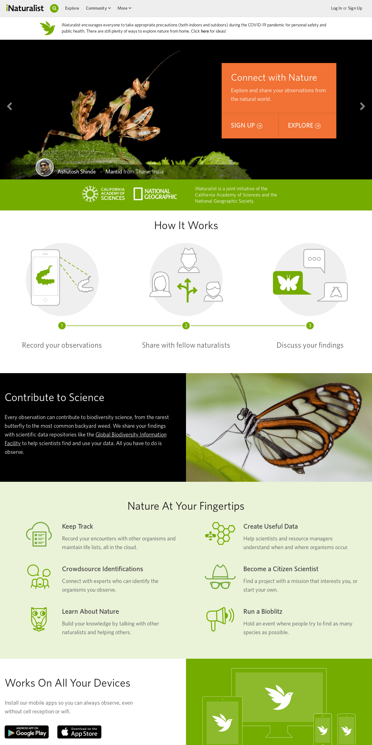 A complete backup of inaturalist.org