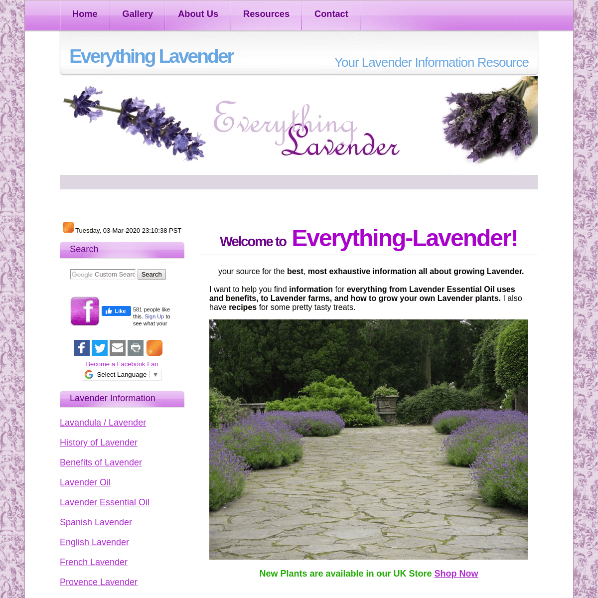 A complete backup of everything-lavender.com