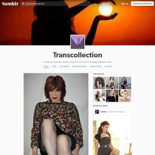A complete backup of transcollection.tumblr.com