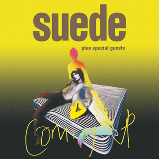 A complete backup of suede.co.uk