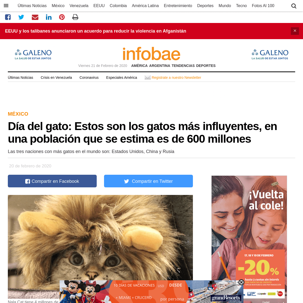 A complete backup of www.infobae.com/america/mexico/2020/02/20/dia-del-gato-estos-son-los-gatos-mas-influyentes-en-una-poblacion