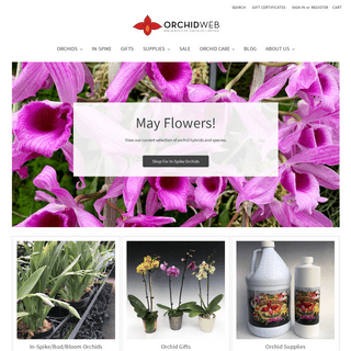 A complete backup of orchidweb.com