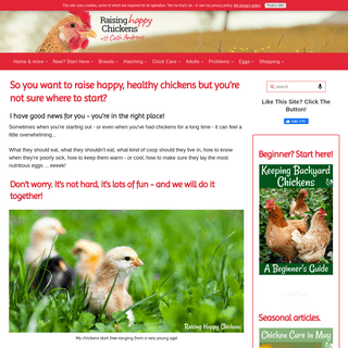 A complete backup of raising-happy-chickens.com