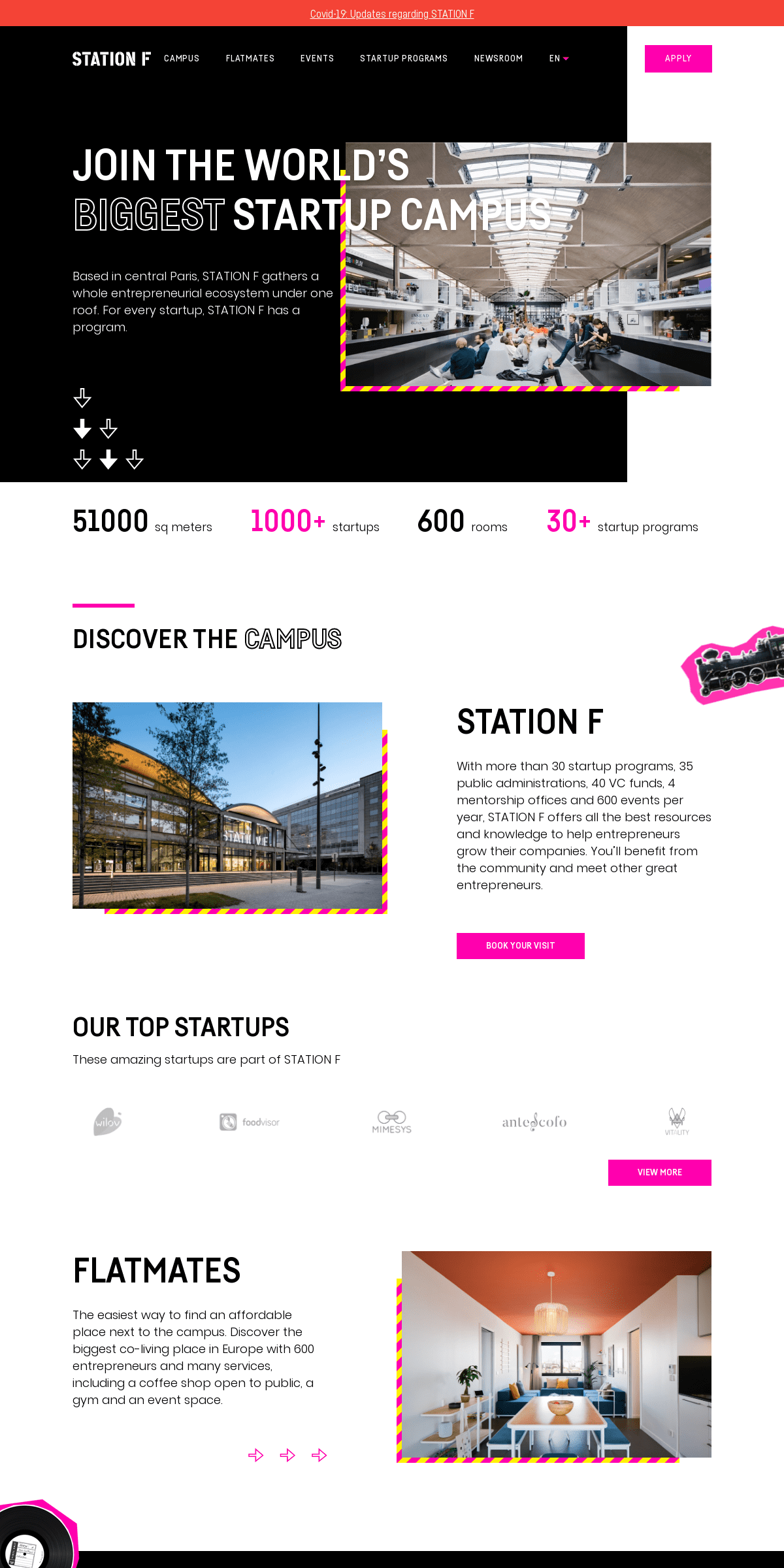 A complete backup of stationf.co
