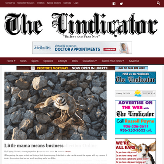 A complete backup of thevindicator.com