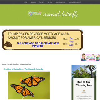 A complete backup of monarch-butterfly.com