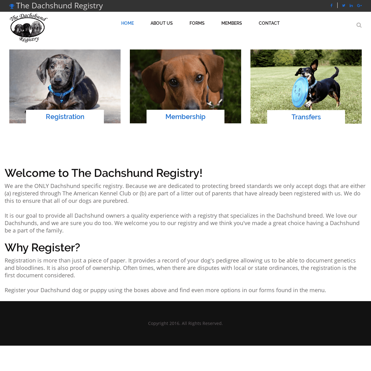 A complete backup of dachshundregistry.com
