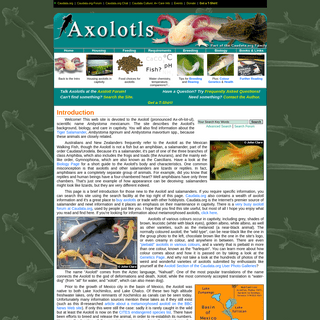 Axolotls- The Fascinating Mexican Axolotl and the Tiger Salamander