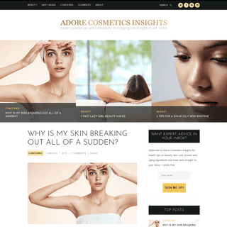 Adore Cosmetics Insights -