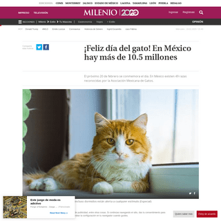 A complete backup of www.milenio.com/estilo/tu-mascota/dia-del-gato-festeja-a-tu-felino