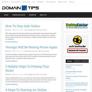 A complete backup of domain.tips