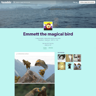 Emmett the magical bird