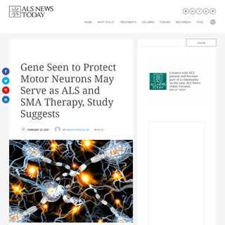 A complete backup of alsnewstoday.com/2020/02/20/gene-that-protects-motor-neurons-may-be-als-sma-therapy-study-suggests/