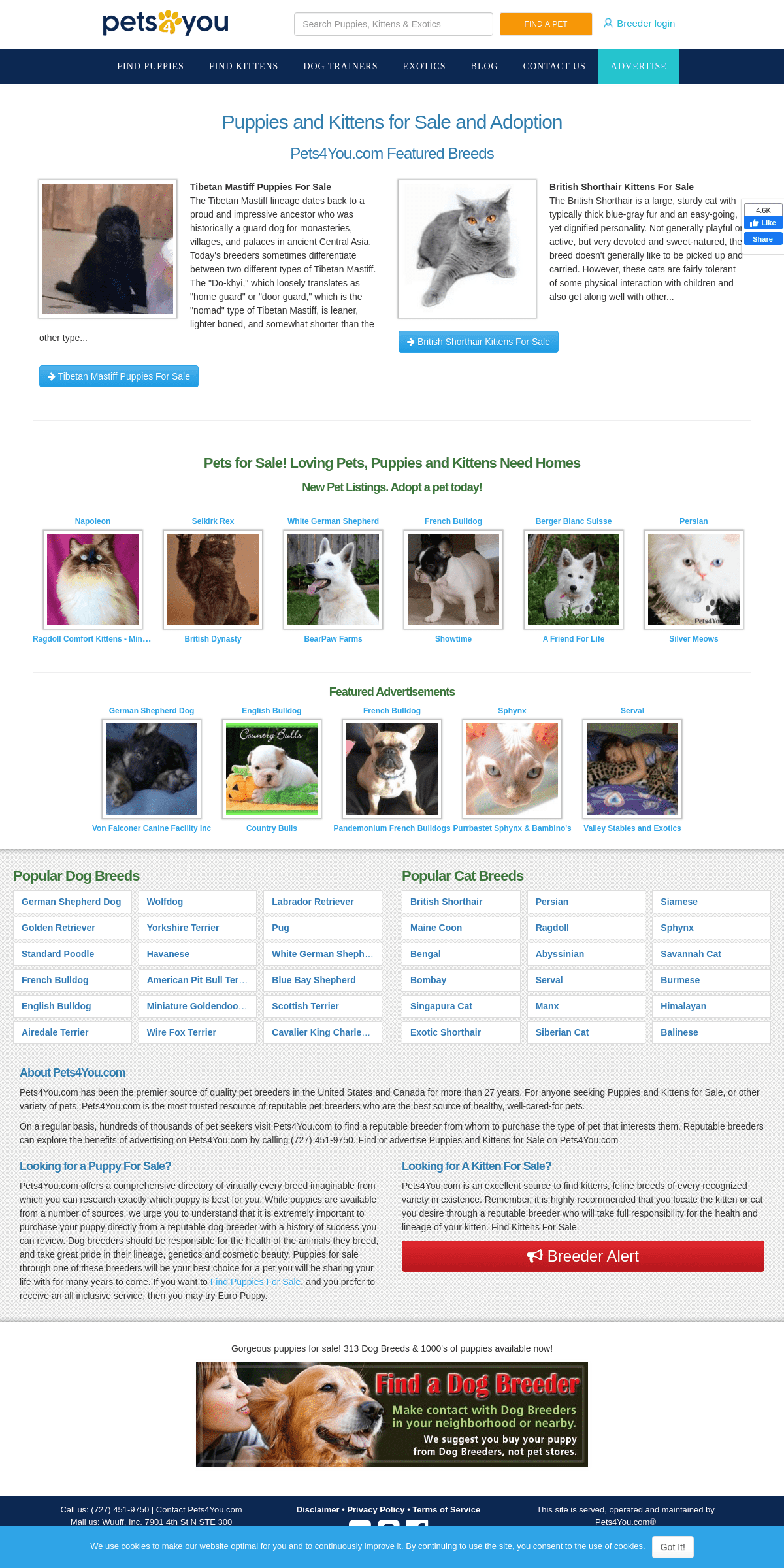 A complete backup of pets4you.com