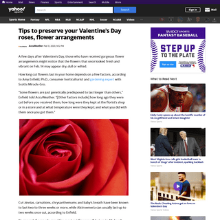 A complete backup of sports.yahoo.com/tips-preserve-valentines-day-roses-215210118.html