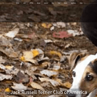 A complete backup of therealjackrussell.com