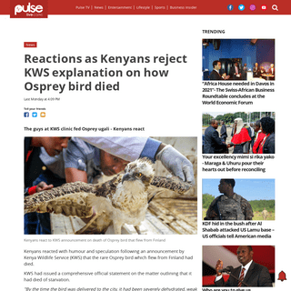 A complete backup of www.pulselive.co.ke/news/kenyans-react-to-kws-announcement-on-death-of-osprey-bird-that-flew-from-finland/j