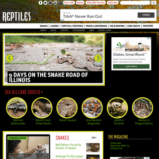 A complete backup of reptilesmagazine.com