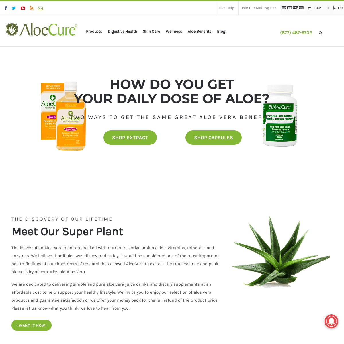 A complete backup of aloecure.com