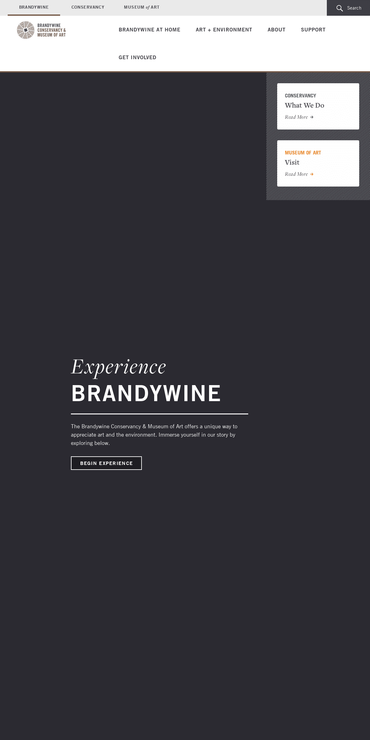 A complete backup of brandywine.org