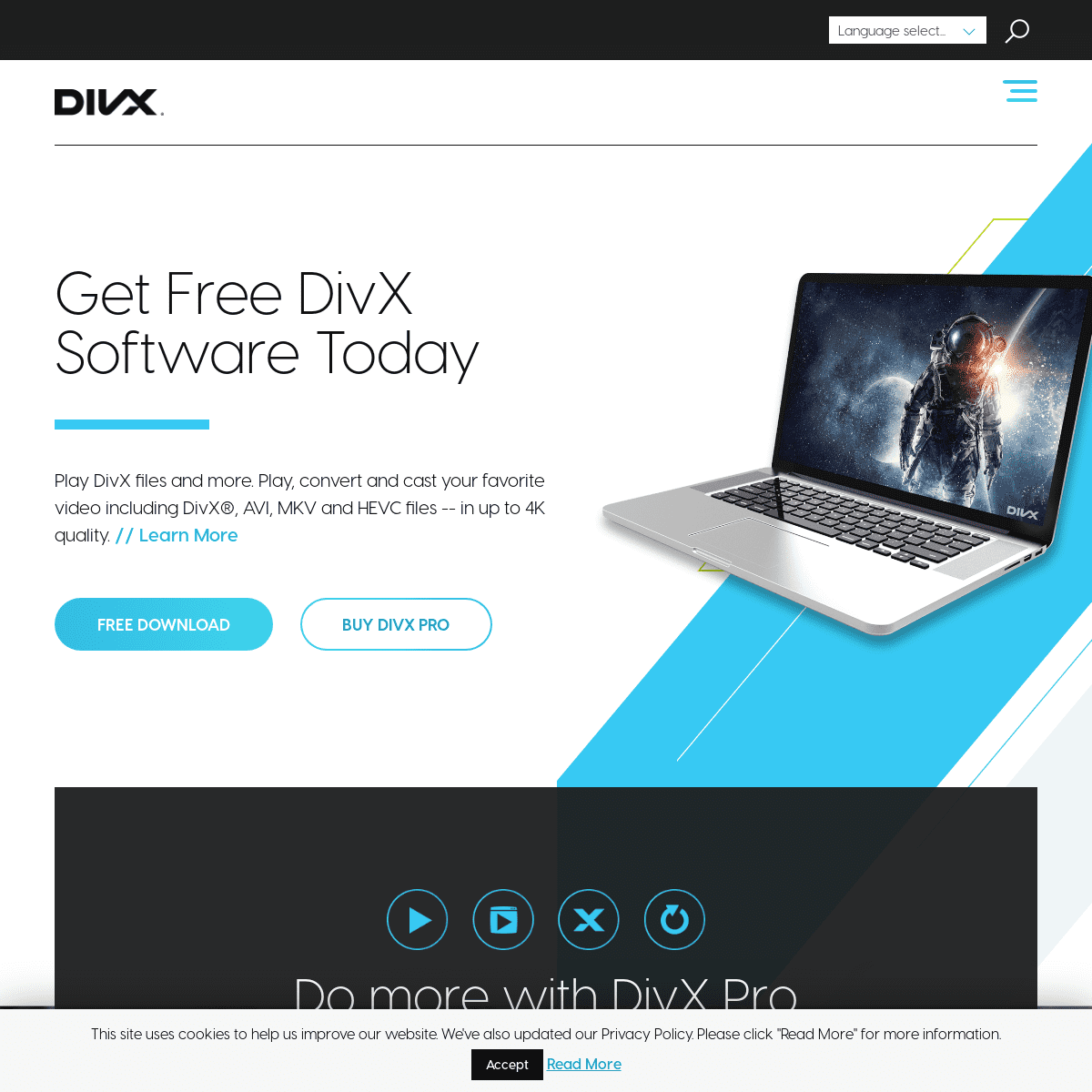 A complete backup of divx.com