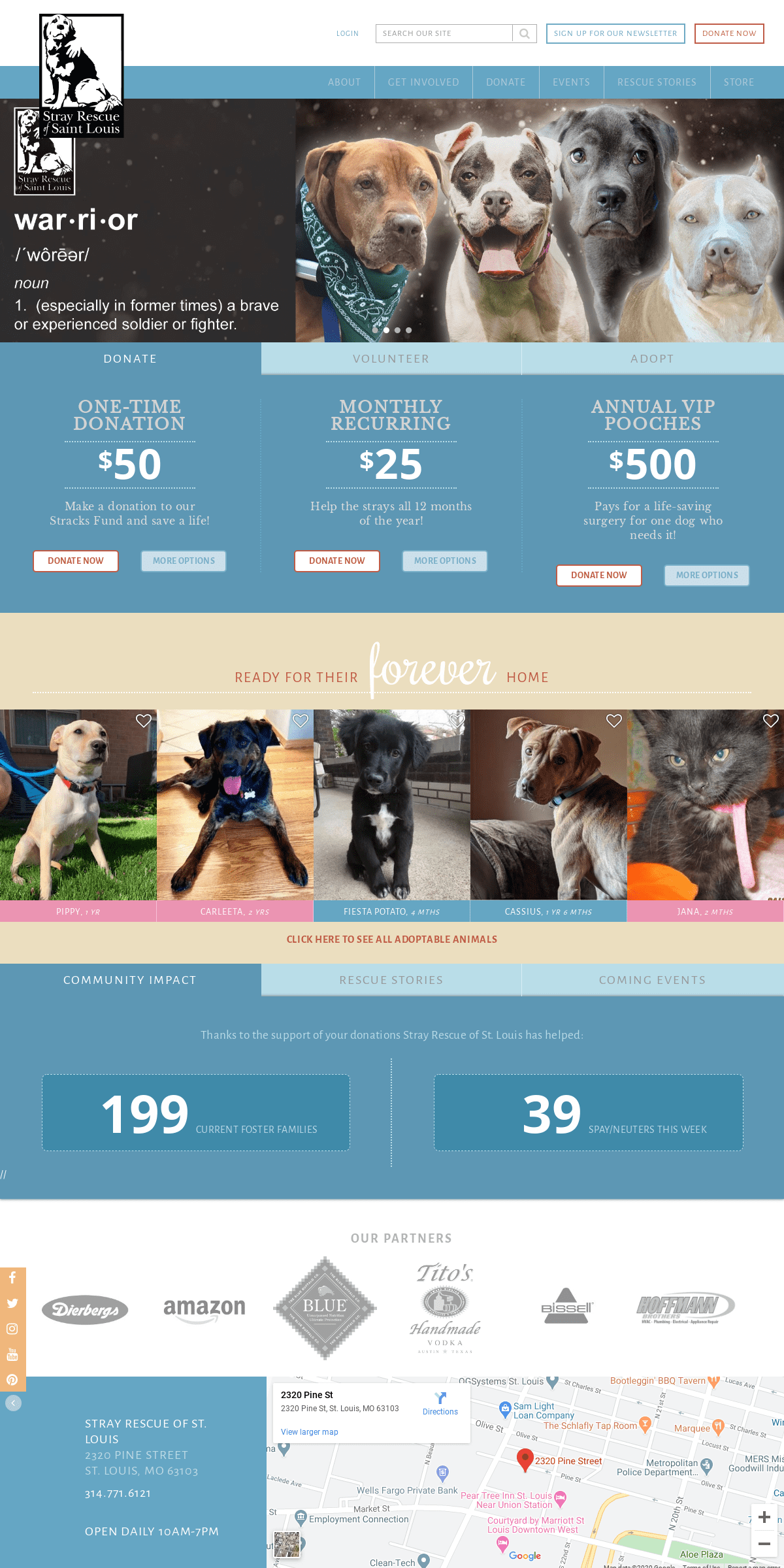 A complete backup of strayrescue.org