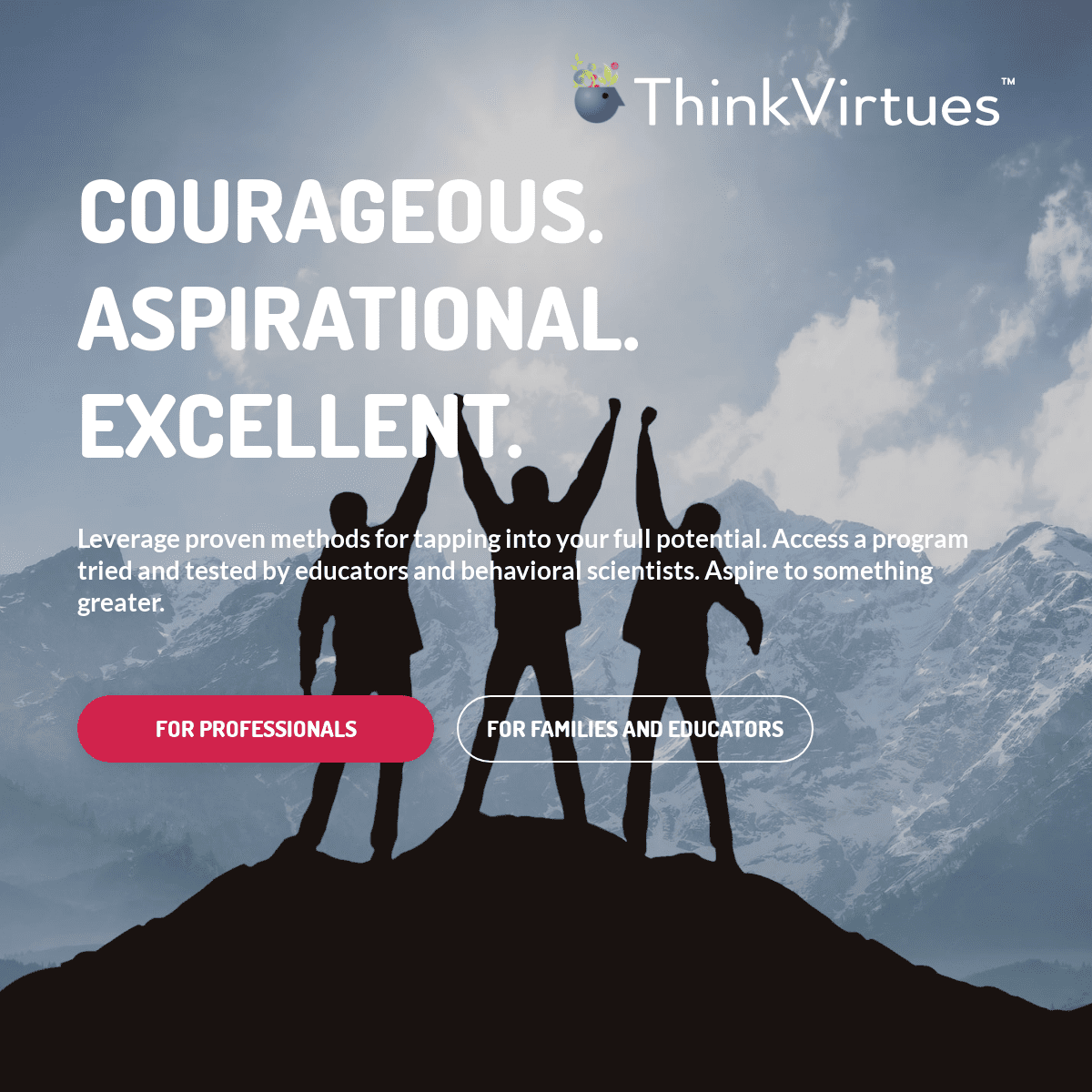 ThinkVirtues - Leverage proven methods for tapping into your full potential. Courageous. Aspirational. Excellence.