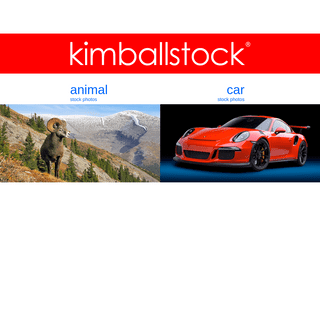 A complete backup of kimballstock.com