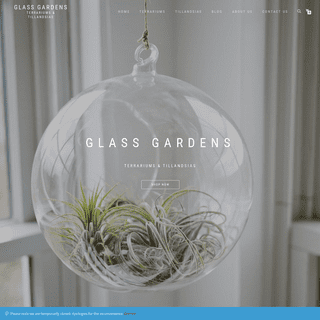 Glass Gardens â€¢ Terrariums & Tillandsias â€¢ Cape Town