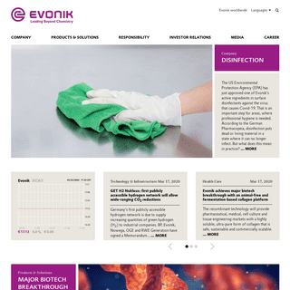 A complete backup of evonik.com