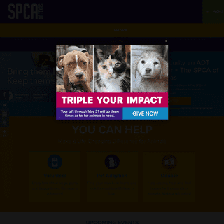 A complete backup of spca.org