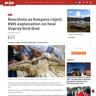 A complete backup of www.pulselive.co.ke/news/kenyans-react-to-kws-announcement-on-death-of-osprey-bird-that-flew-from-finland/j