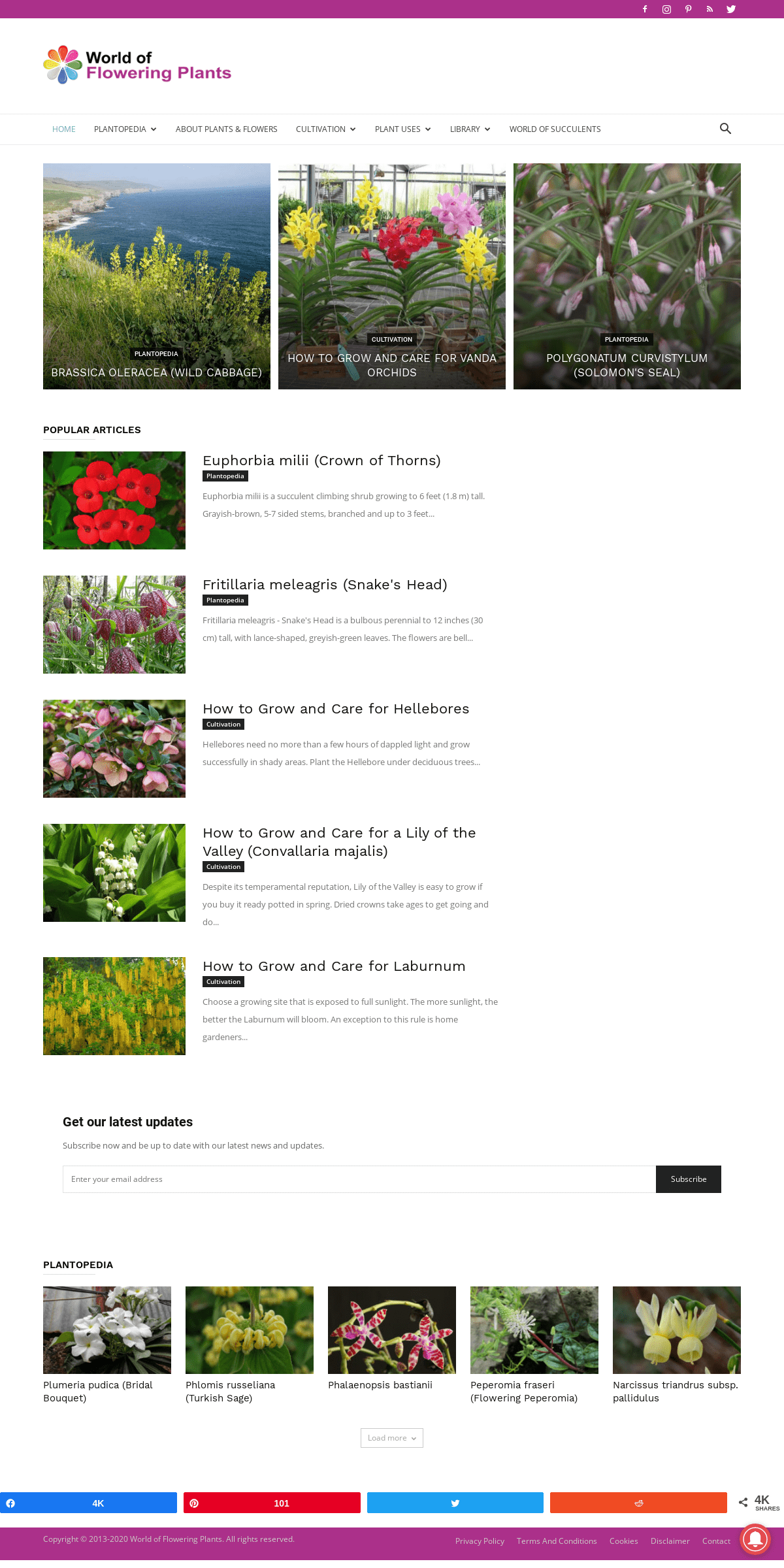 A complete backup of worldoffloweringplants.com