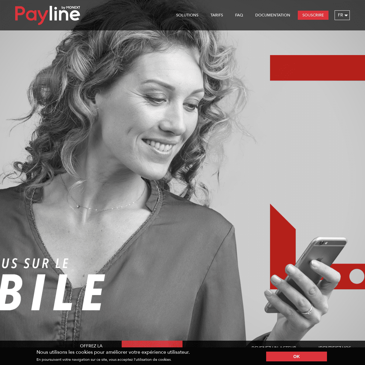 A complete backup of payline.com