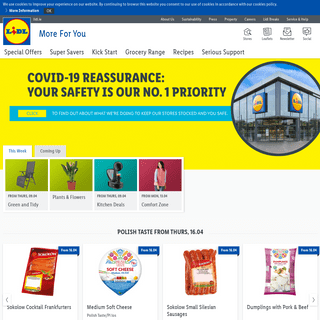 A complete backup of lidl.ie