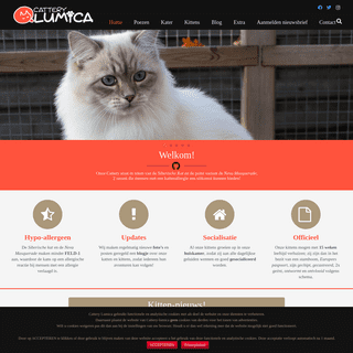 A complete backup of cattery-lumica.nl