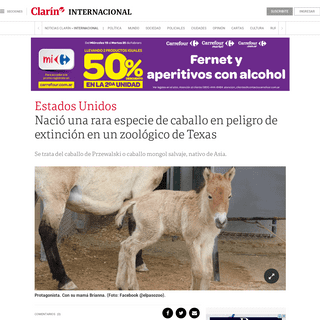 A complete backup of www.clarin.com/internacional/estados-unidos/nacio-rara-especie-caballo-peligro-extincion-zoologico-texas_0_