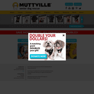 A complete backup of muttville.org