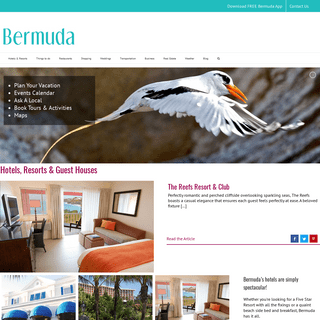A complete backup of bermuda.com