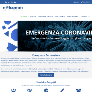 Consorzio Netcomm - Il Commercio Digitale Italiano