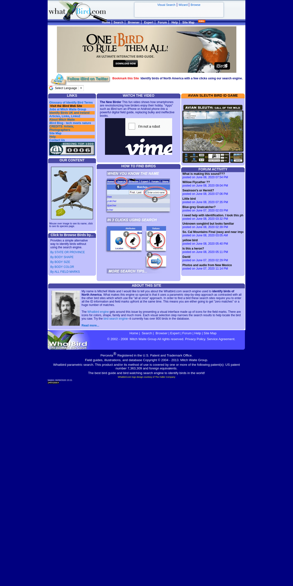 A complete backup of whatbird.com