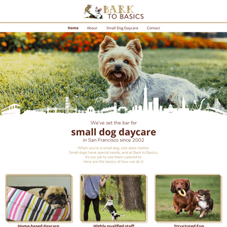Bark To Basics-San Franscisco Small Dog Daycare