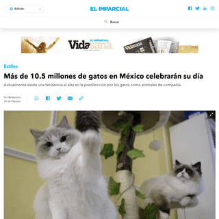 MÃ¡s de 10.5 millones de gatos en MÃ©xico celebrarÃ¡n su dÃ­a - ELIMPARCIAL.COM