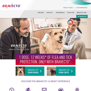 BRAVECTOÂ® (FLURALANER) - 12-Week Flea & Tick Protection For Dogs & Cats