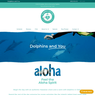 A complete backup of dolphinsandyou.com