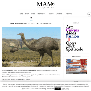 A complete backup of www.mam-e.it/news-selezionate/aepyornis-uccello-elefante-uova-giganti/