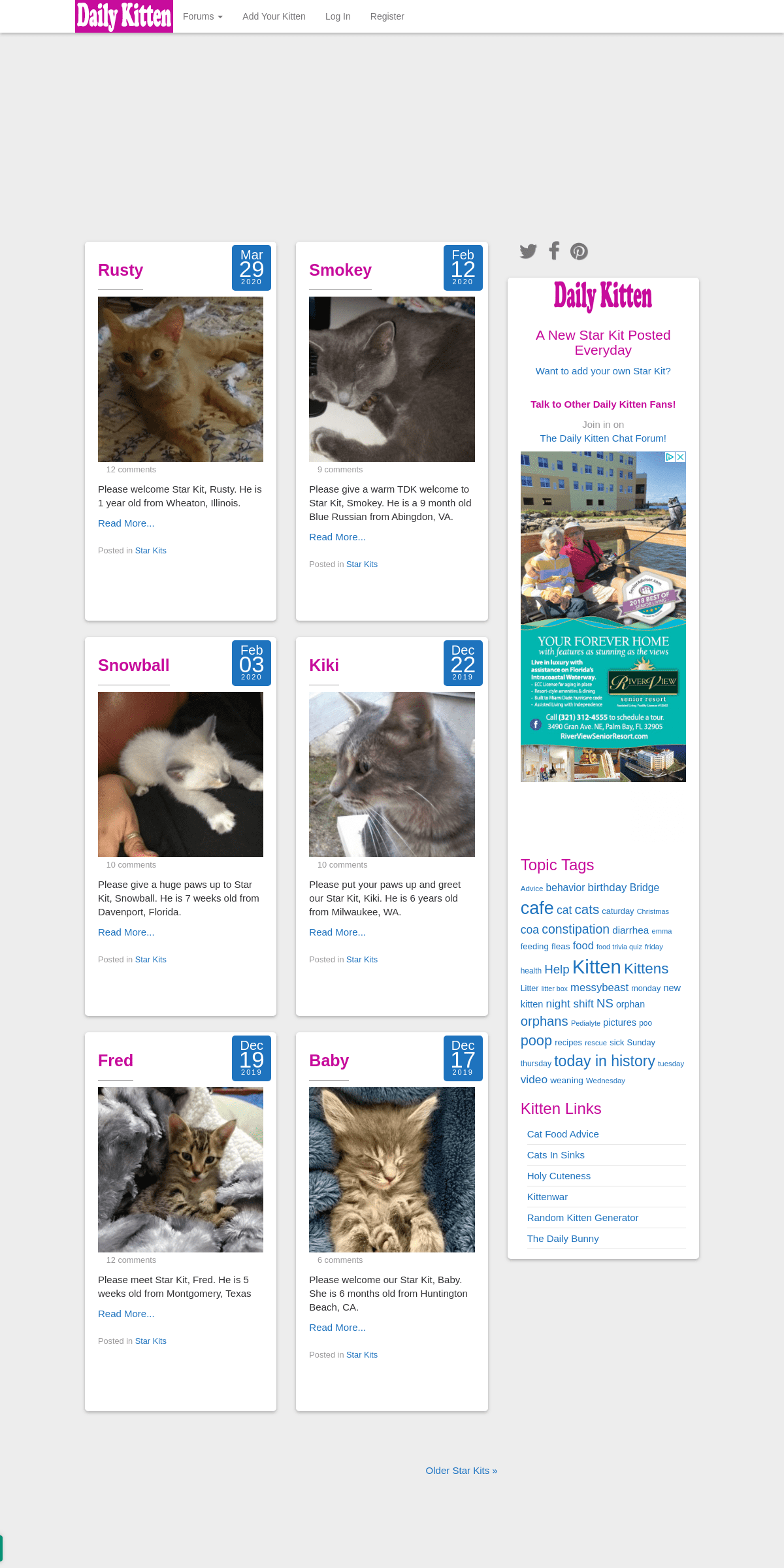 A complete backup of dailykitten.com