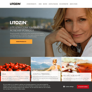 A complete backup of litozin.com